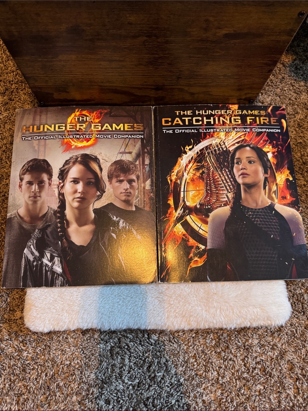 The Hunger Games And Catching Fire Official Movie Companion Paperback Books